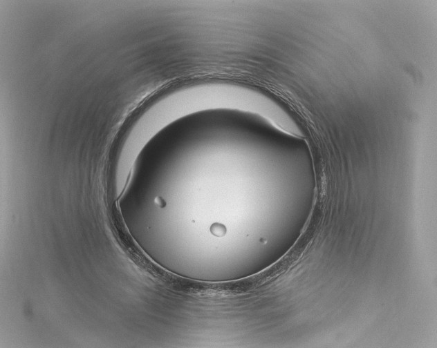 X0000115220444200911181552