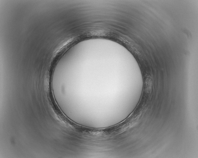 X0000115220446200911181552