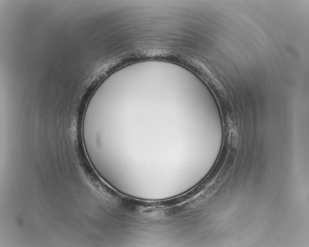 X0000115220447200911181552