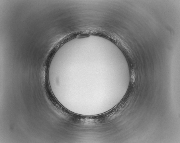 X0000115220448200911181552