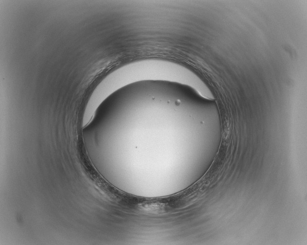 X0000115220452200911181552
