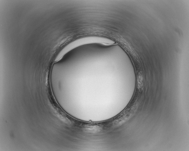 X0000115220454200911181552