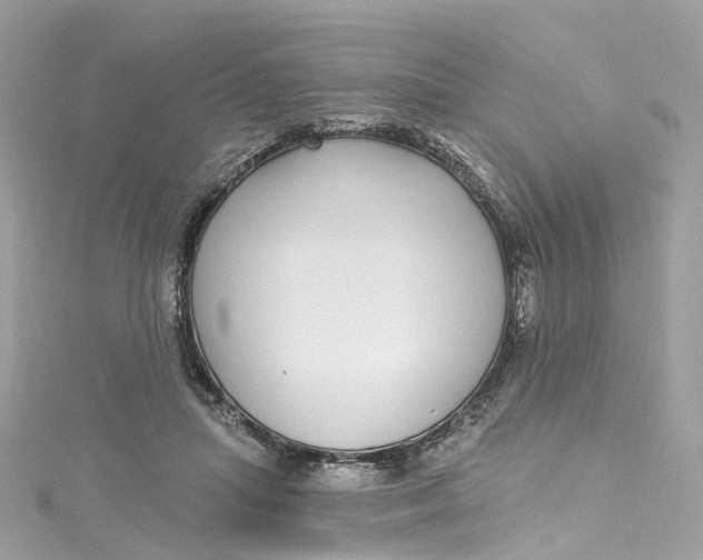 X0000115220455200911181552