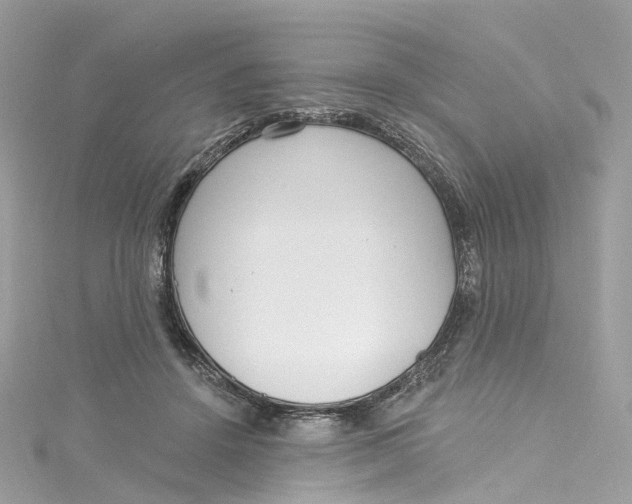 X0000115220456200911181552