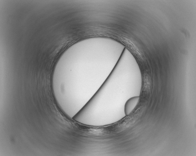 X0000115220457200911181552
