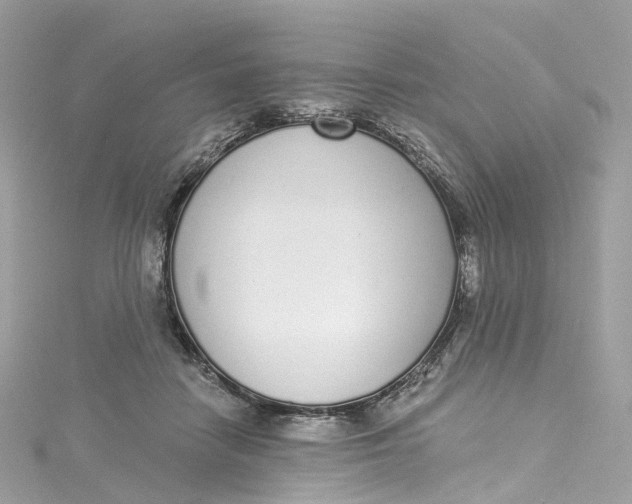 X0000115220458200911181552