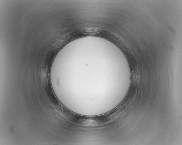 X0000115220460200911181552