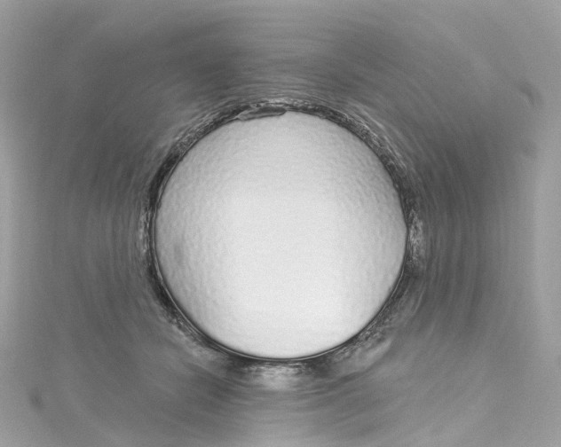 X0000115220462200911181552