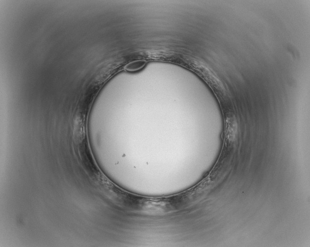 X0000115220471200911181552