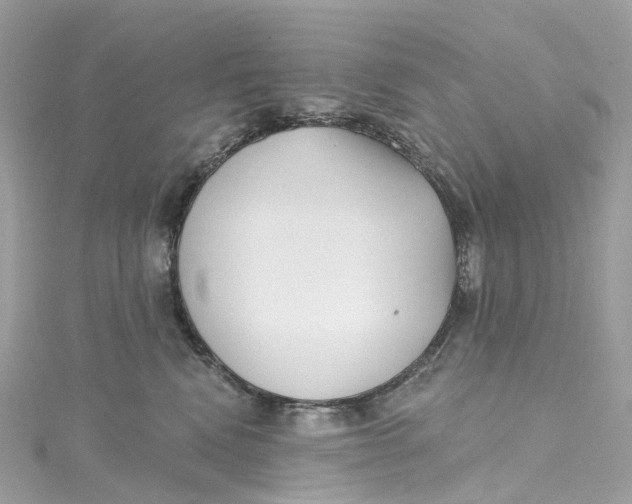 X0000115220472200911181552