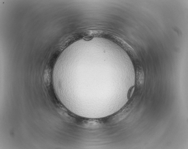 X0000115220475200911181552