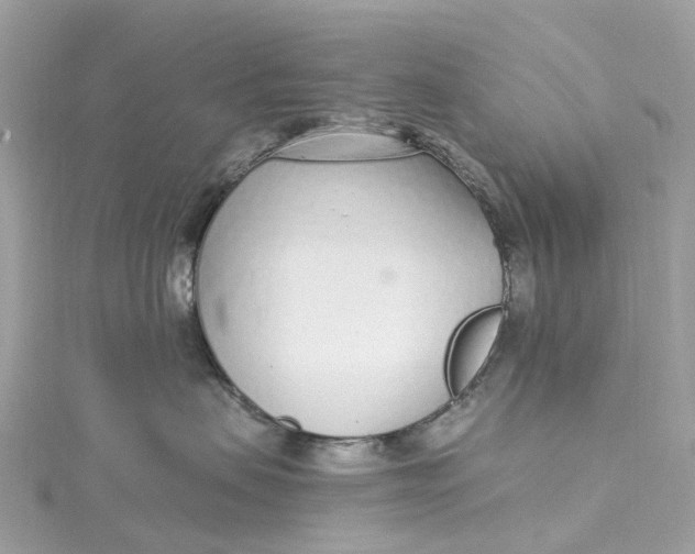 X0000115220479200911181552