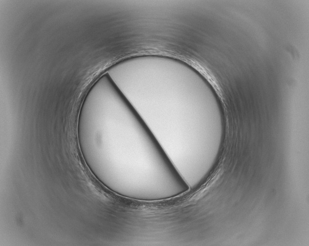 X0000115220481200911181552