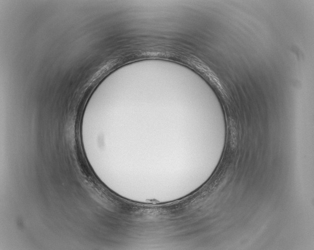 X0000115220482200911181552
