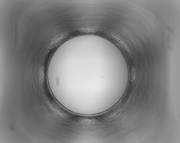 X0000115220494200911181552
