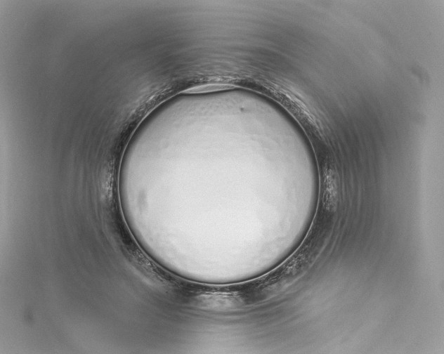X0000115220499200911181552