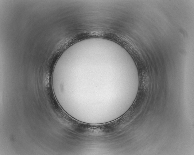 X0000115220502200911181552