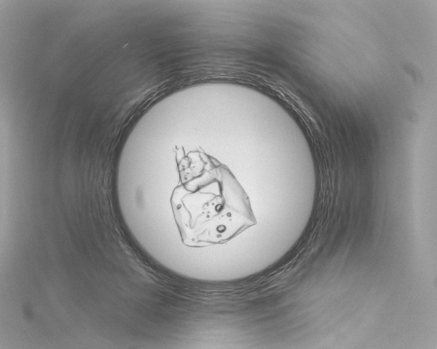 X0000115220505200911181552