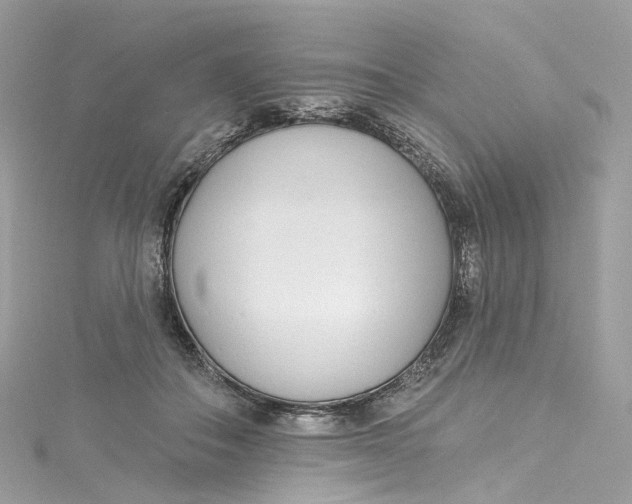 X0000115220506200911181552