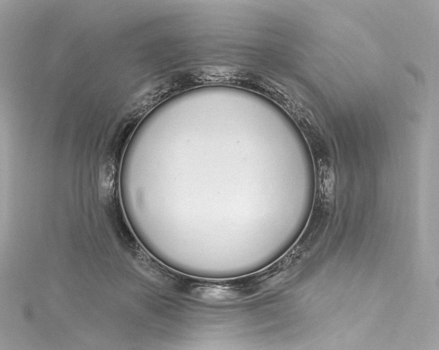 X0000115220507200911181552