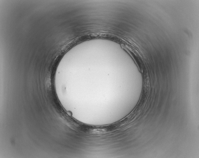 X0000115220508200911181552