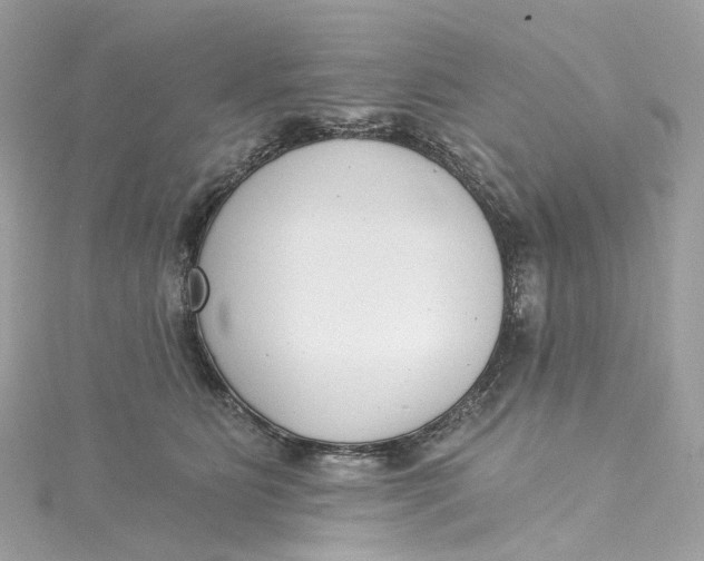 X0000115220515200911181551