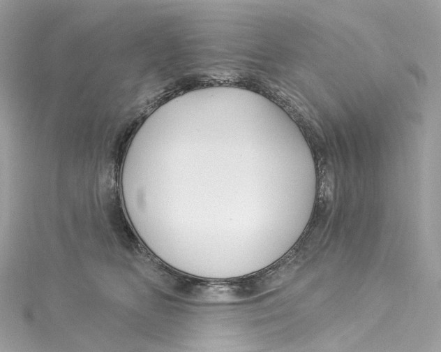 X0000115220518200911181551