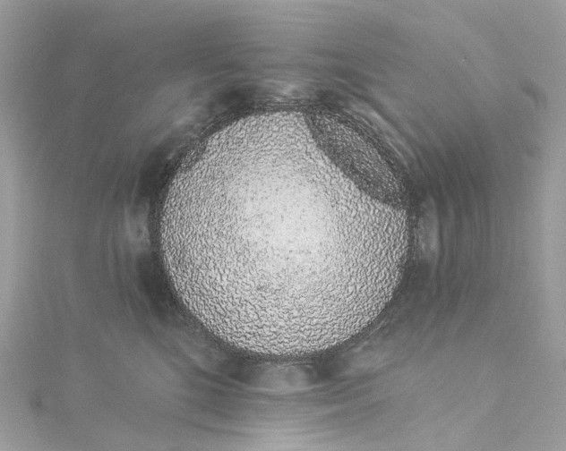 X0000115220520200911181551