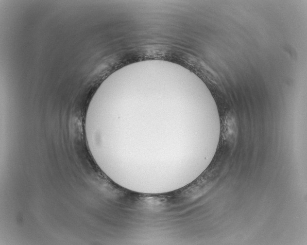 X0000115220522200911181551