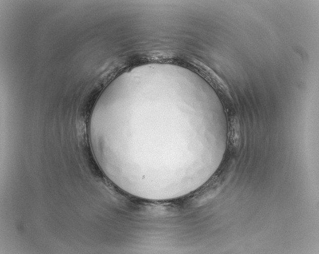 X0000115220523200911181551