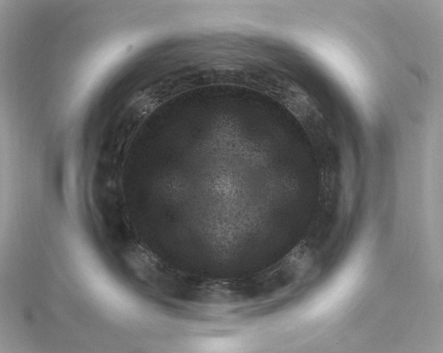 X0000115220526200911181551