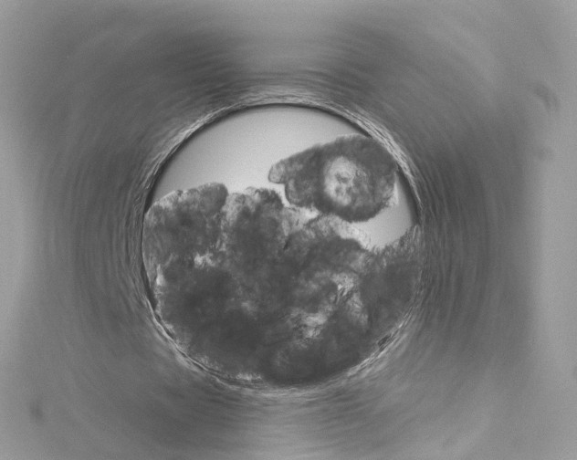X0000115220529200911181550