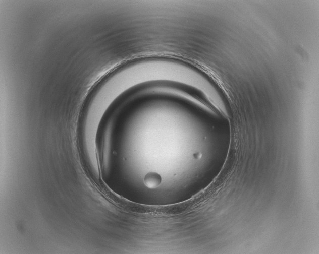 X0000115220535200911181551