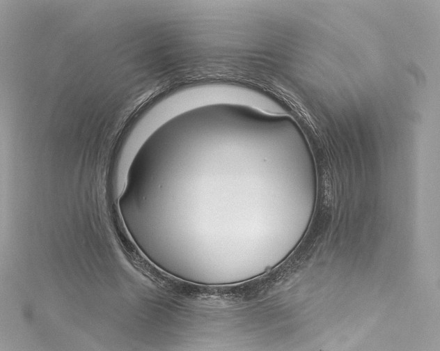 X0000115220538200911181551