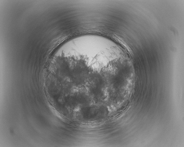 X0000115220541200911181551