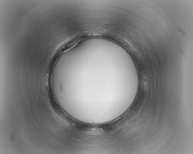 X0000115220543200911181551