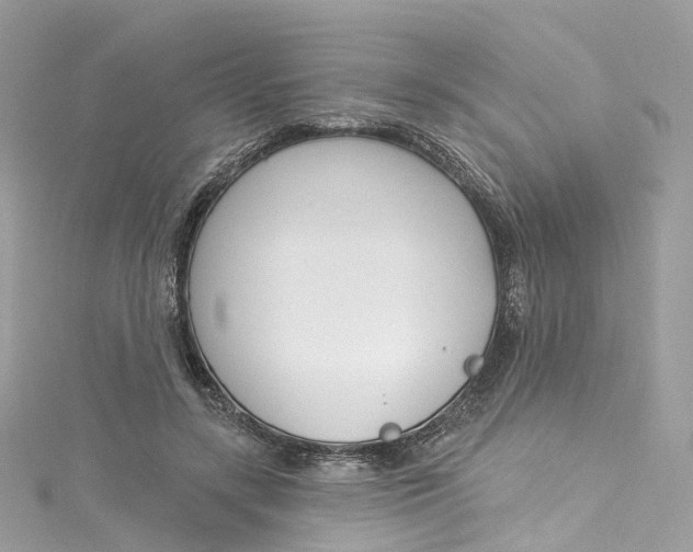X0000115220547200911181551