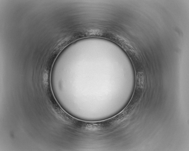 X0000115220550200911181551