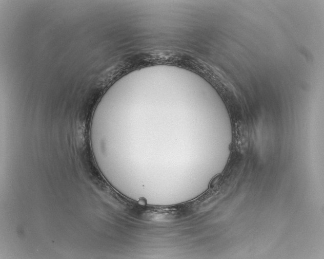 X0000115220563200911181551