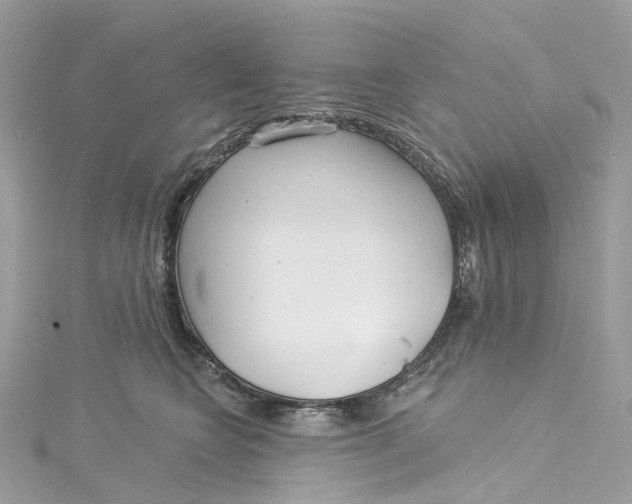 X0000115220566200911181551