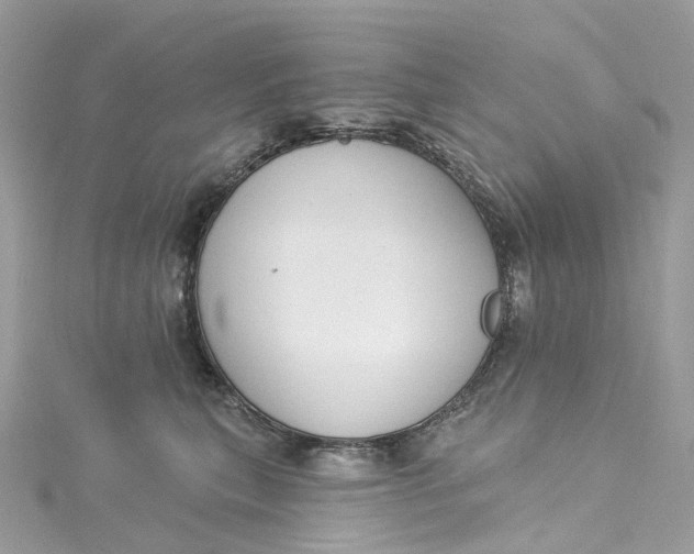 X0000115220567200911181551