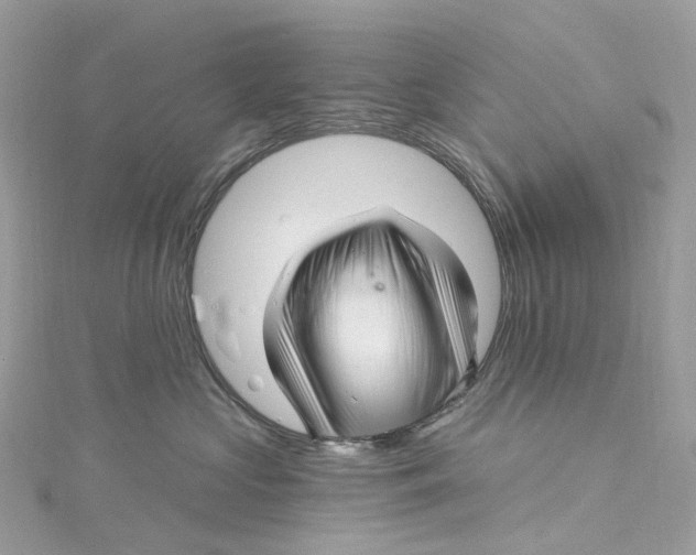 X0000115220573200911181551