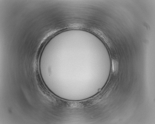 X0000115220579200911181550