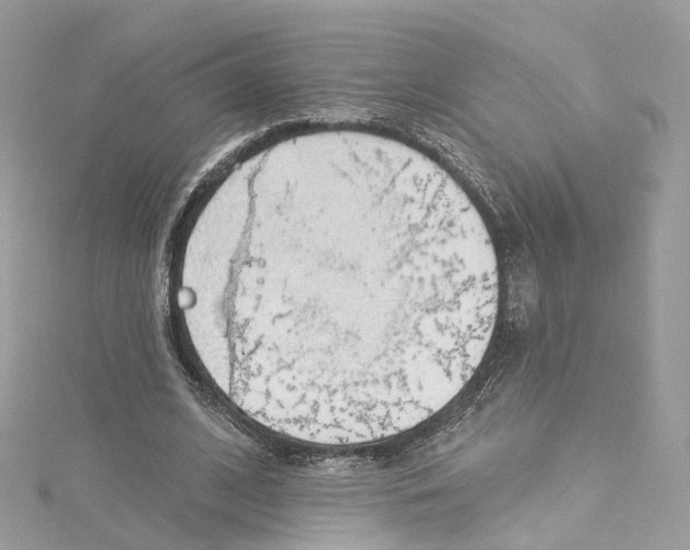 X0000115220584200911181550