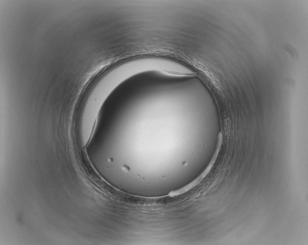 X0000115220587200911181550