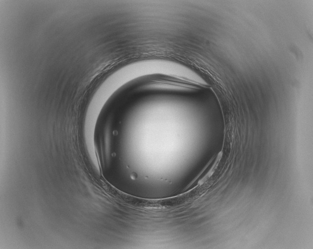 X0000115220595200911181550