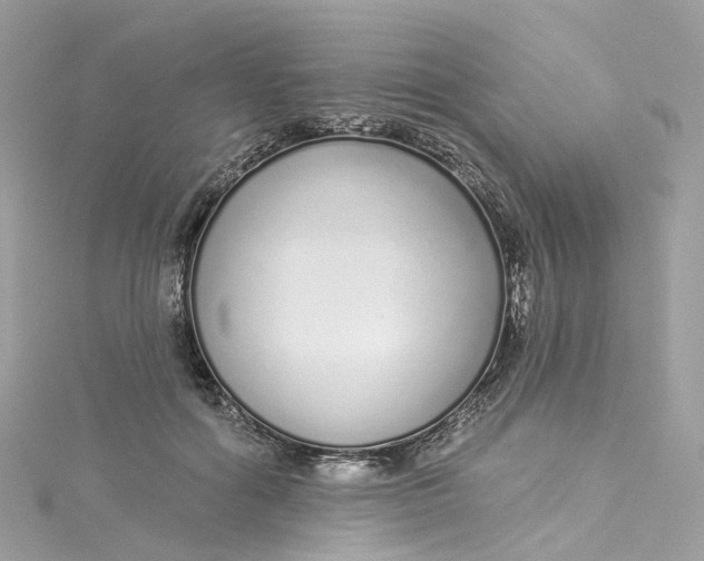 X0000115220602200911181550