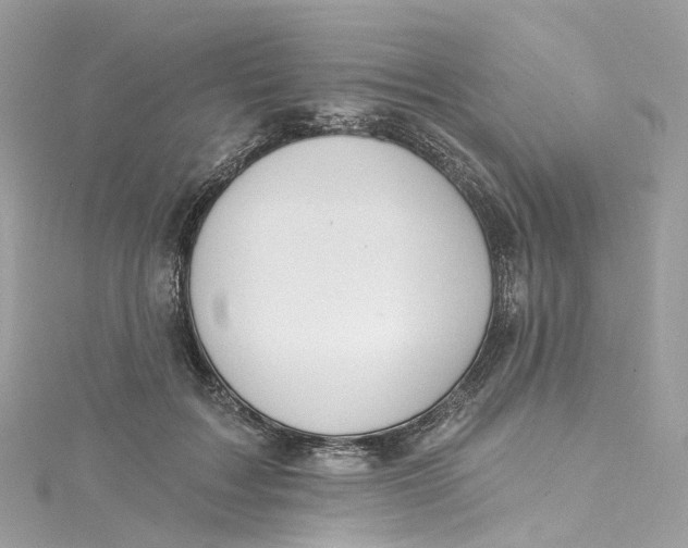 X0000115220603200911181550