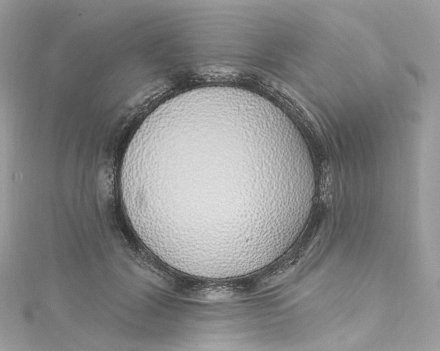 X0000115220604200911181550