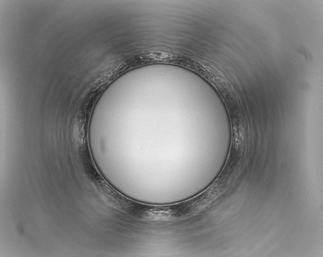 X0000115220606200911181550